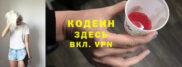 крисы Сясьстрой
