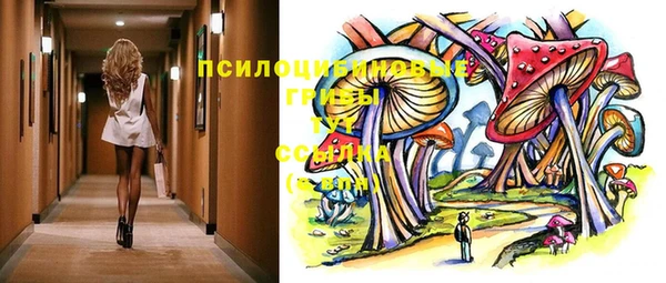 молекула духа Аркадак